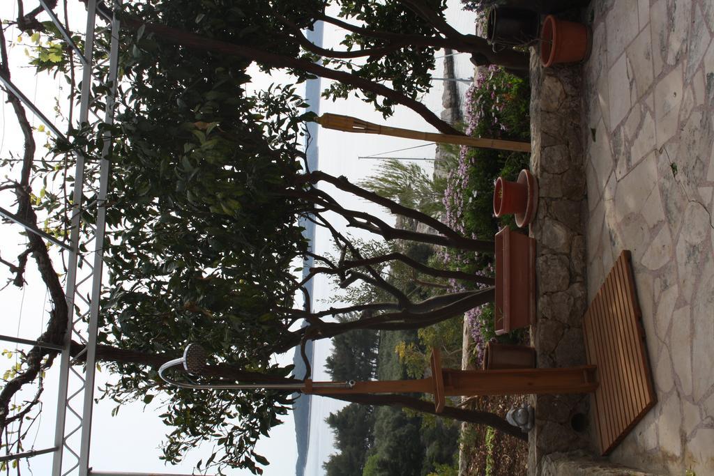 חוואר Villa Marijam מראה חיצוני תמונה